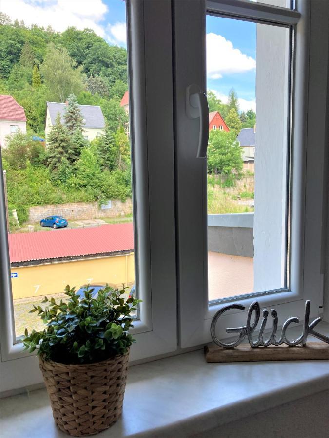 Sandstein-Ferien, Kamin, Fewo "Wanderfalke", Zentral & Ruhig, Terrasse, Saechs Schweiz ケーニッヒスシュタイン・アン・デ・エルベ エクステリア 写真